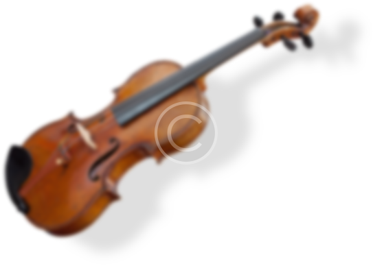 5.png